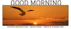 GOOD MORNING, ANIMALS, BIRD, SUNRISE, GREETINGS