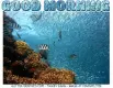 GOOD MORNING, FISH, OCEAN, TEXT, GREETINGS