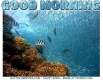 GOOD MORNING, FISH, OCEAN, TEXT, GREETINGS