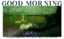GOOD MORNING, PARROT, RIVER, GREETINGS