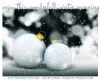 ENJOY THIS WONDERFULL WINTER MORNING, ANIMATED, TEXT