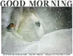 GOOD MORNING, SNOWING, BIRDS, HORSE, TEXT