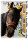 Helllllo.... it's a beautiful morning, window, horse, text