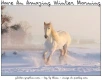 GOOD MORNING, ANIMALS, HORSE, SNOW, TEXT