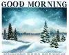 GOOD MORNING IN THE PINES