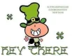 HEY THERE, LEPRECHAUN, BUBBLEGUM KIDS, TEXT