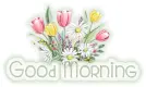 Good Morning (Spring Tulips)