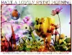 HAVE A LOVELY SPRING MORNING, FLOWERS, SPRING, TEXT
