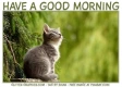 GOOD MORNING, ANIMALS, KITTEN, TEXT