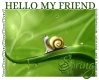 HELLO MY FRIEND, SNAIL, CUTE, TEXT