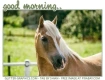 good morning.. 