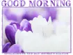 GOOD MORNING, ANYTIME, NATURE, TEXT