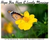 HOPE YOU HAVE A LOVELY MORNING