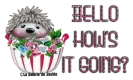 Hedgehog - Hello, how's it going?