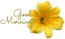 GOOD MORNING, LILY, YELLOW, TEXT