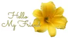 HELLO MY FRIEND, YELLOW, LILY, TEXT