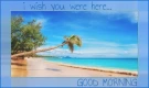I WISH YOU WERE HERE.. GOOD MORNING