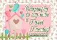Chirping by to wish you a Tweet Tuesday! ~ days