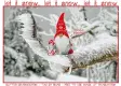 let it snow.. let it snow.. let it snow.. GOOD MORNING