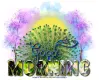 Good Morning - Peacock Paradise