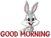 good morning