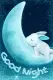 Good Night