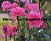 Beautiful Day