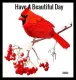 Beautiful Day
