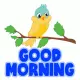 Good morning
