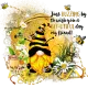 JUST BUZZING BY TO WISH YOU A BEE-UTIFUL DAY MY FRIEND - BEAUTIFUL BEE - GNOME 
