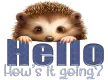 Peeking hedgehog - Hello