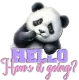 Panda Bear 