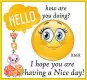 Hello how are you? - by Robbie