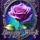 Happy Week