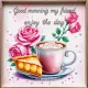 Good morning my friend enjoy the day
