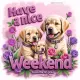 Have a nice weekend 