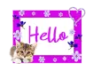 Hello