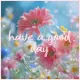 have a good day