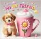 Hi my Friend