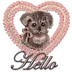 hello