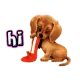 hi