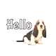 hello