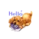 hello