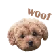 woof woof