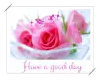 have a good day
