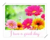 have a good day