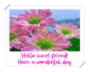 hello sweet friend