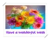 have a wonderful week