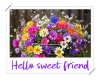 hello sweet friend