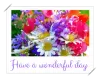 have a wonderful day